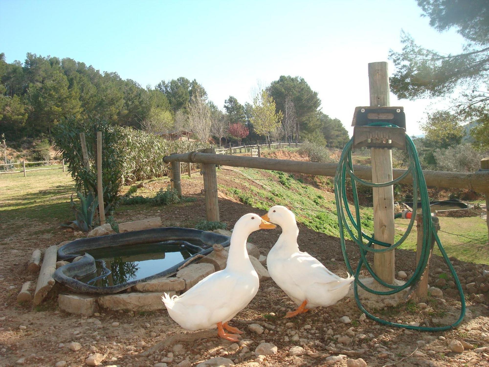 Comarquinal Bioresort Penedes San Quintin de Mediona Luaran gambar